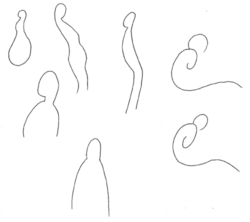 Human Forms 1
